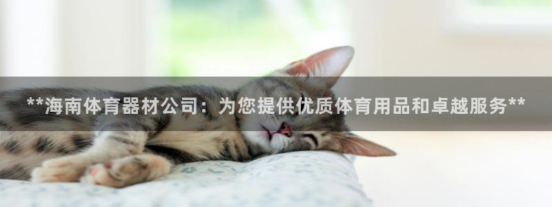 凯时登录界面