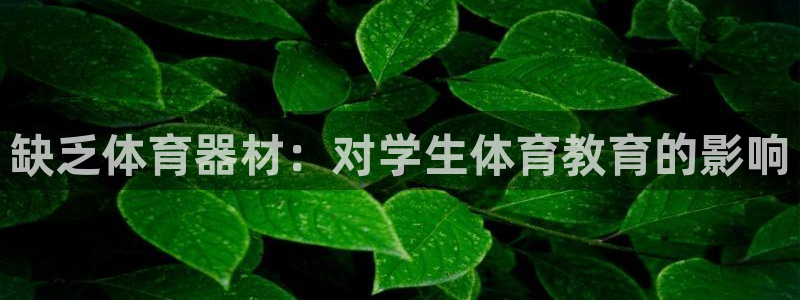 尊龙凯时捕鱼游戏能玩吗