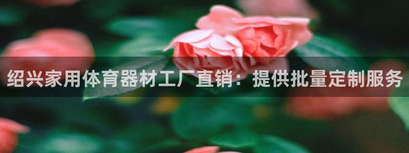 尊龙版末代皇帝