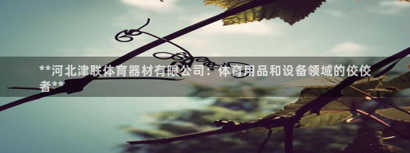 尊龙官方网站首页