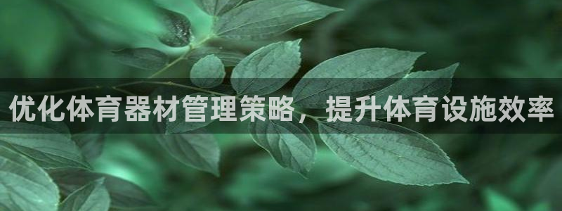 凯时国际app首页下载