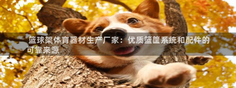 尊龙现金一下指导AG发财网