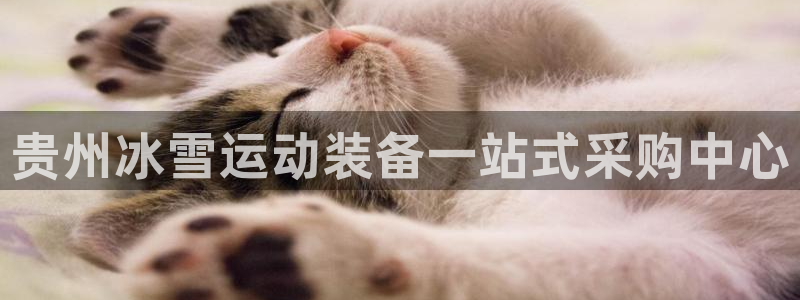 尊龙用现金娱乐一下下载旧