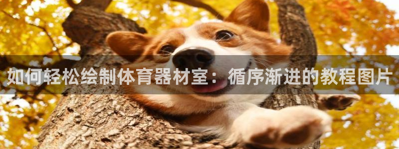 尊龙凯时存款不上分