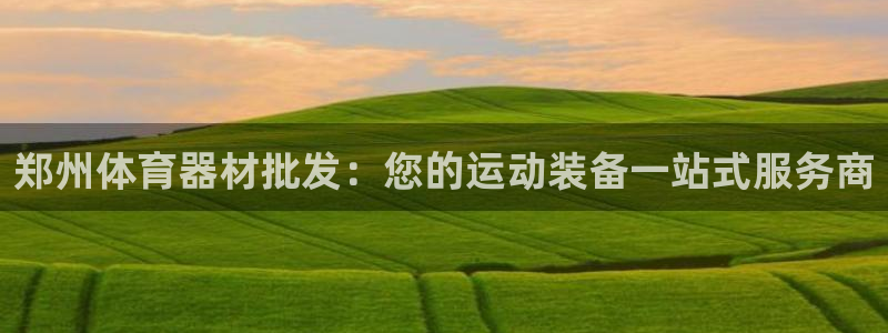 尊龙app|首选agdaohang