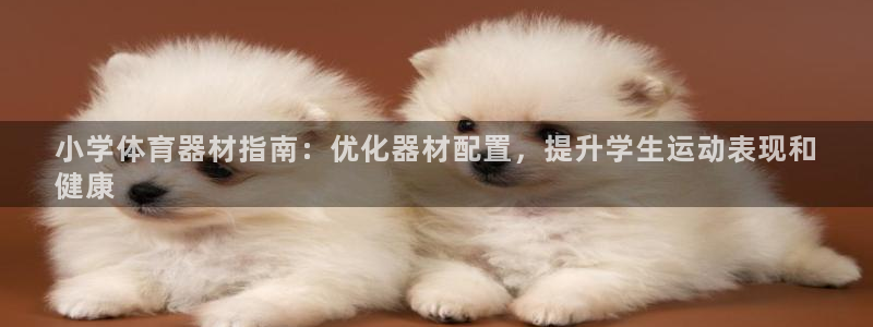 尊龙品牌怎么样