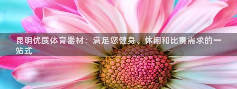 d88尊龙官网登录免费下载