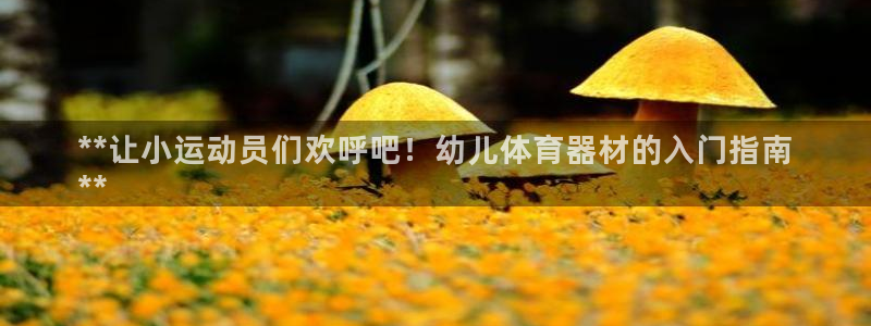 凯时国际最新