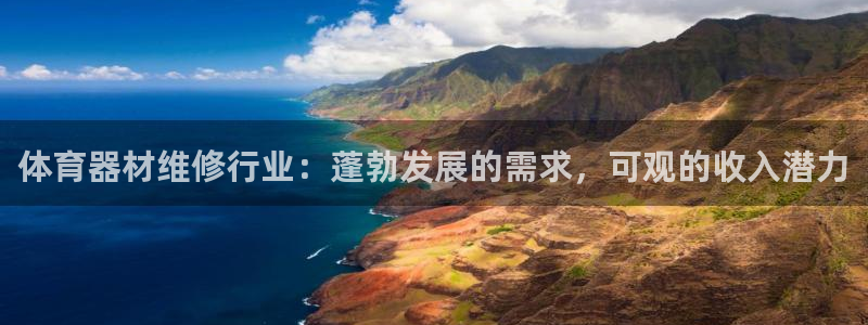 尊龙凯时的企业文化