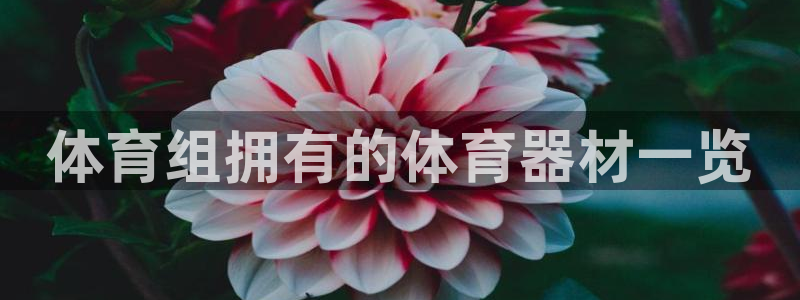 尊龙游戏官方网