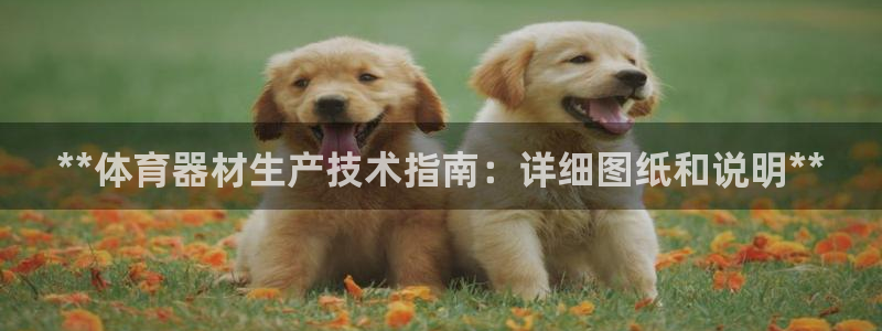 尊龙d88现金可来就送38