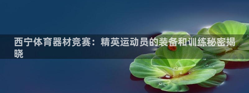 尊龙人生就是博登录准认来就送38