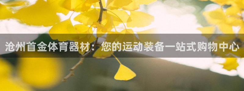 尊龙500价格