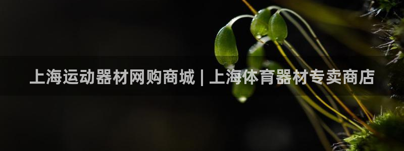 z6尊龙凯时