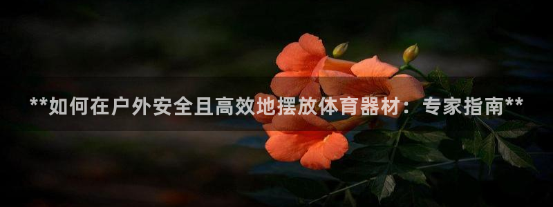 尊龙app官网登录：**如何在户外安全且高效地摆放体育器材：
