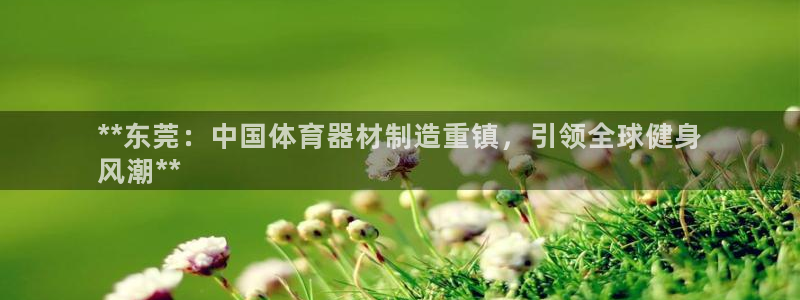尊龙官网手机版