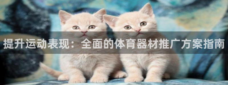尊龙凯时不给提现怎么办：提升运动表现：全面的体育器材推广方案