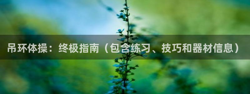 尊龙凯时用户名m