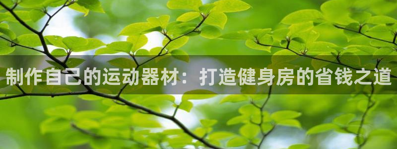 凯时kb88官方：制作自己的运动器材：打造健身房的省钱之道
