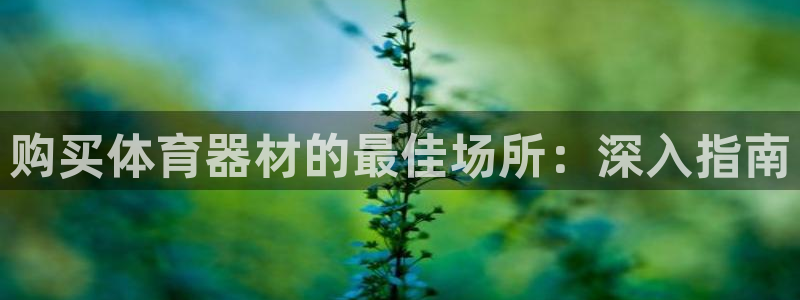 凯时ag旗舰厅：购买体育器材的最佳场所：深入指南