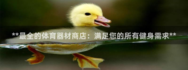尊龙凯时游戏厅：**最全的体育器材商店：满足您的所有健身需求