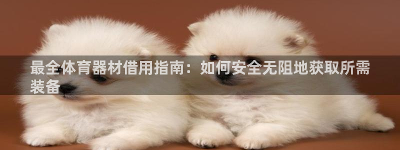 尊龙凯时能做退米么：最全体育器材借用指南：如何安全无阻地获取
