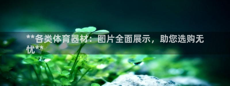 尊龙官方网站最新版V9.3.06