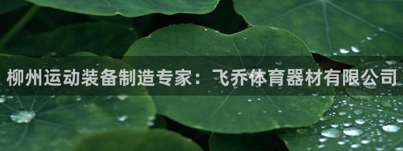 尊龙z6