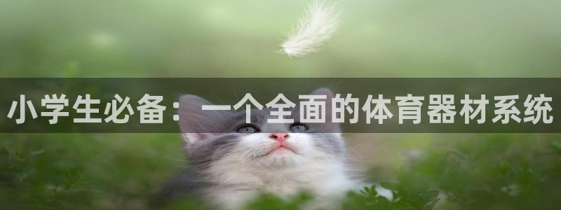 尊龙官方网站最新版V9.3.06介绍