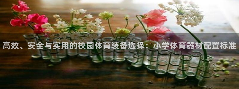 d88尊龙官方网
