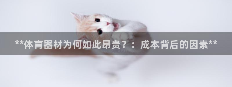 尊龙凯时和九游会哪个平台好一点