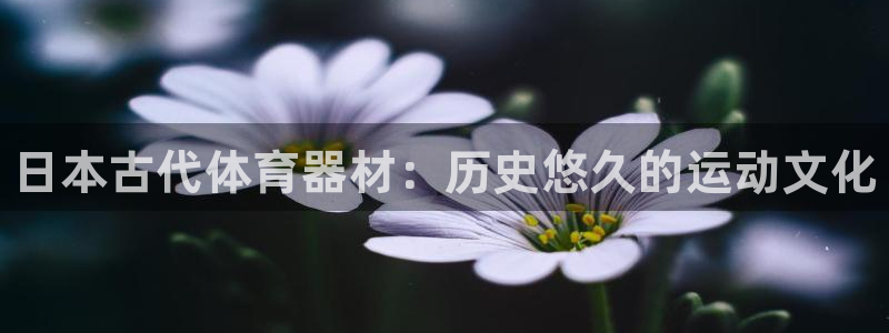 尊龙d88官网新版：日本古代体育器材：历史悠久的运动文化