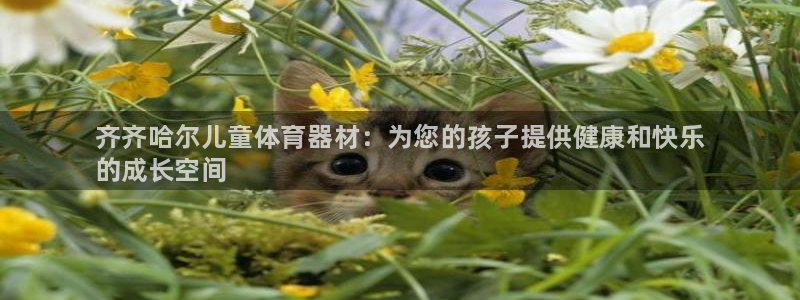 尊龙集团有限公司官网