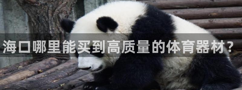 z6尊龙凯时ag旗舰厅