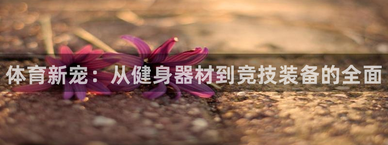 凯时国际app首页下载