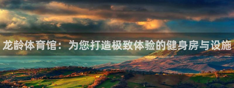 尊龙官网免费下载安装