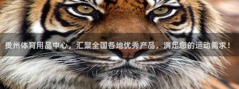 尊龙coming to my own