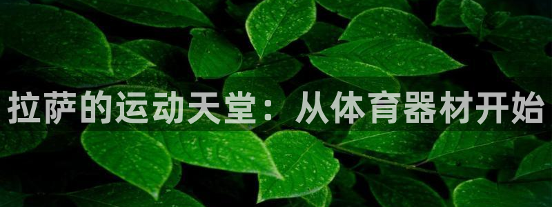 尊龙凯时官网网址