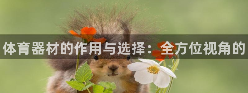 尊龙游戏官网游戏特色